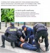 Mafia narkotykowa została rozbita.