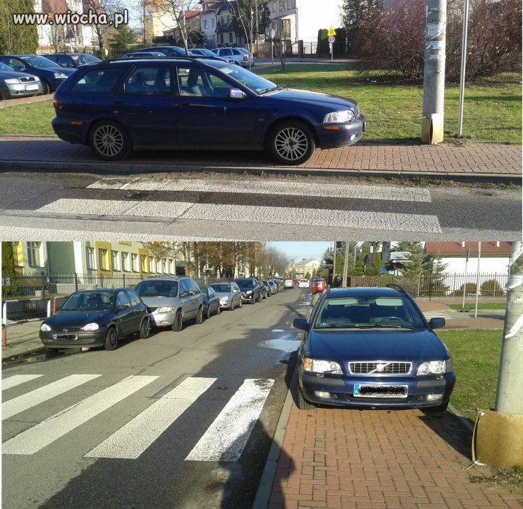 Pasy przed szkołą...