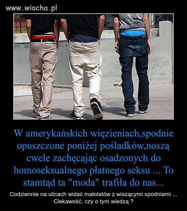 Modnisie