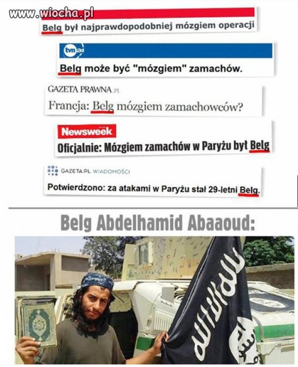 No tak typowy Belg, widać na zdjęciu