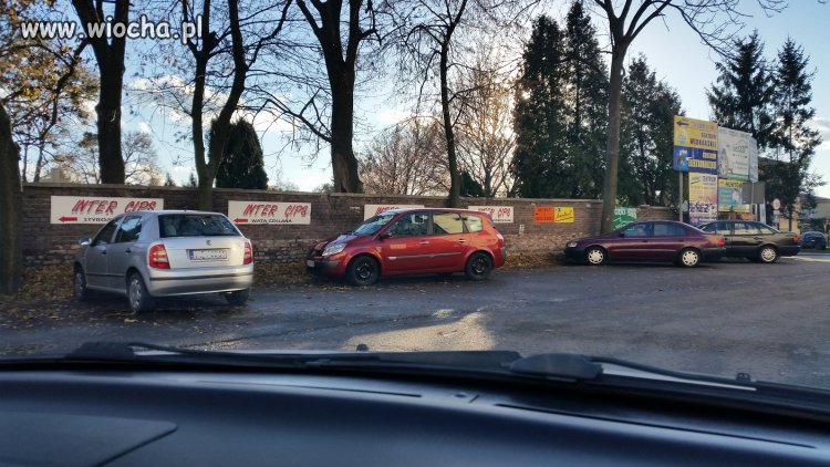 Ograniczony umysłowo potrzebuje 