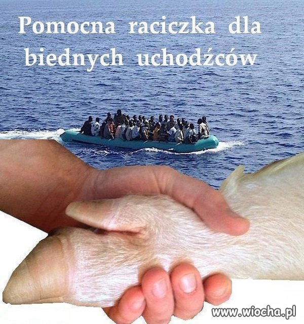 Wolontariusze poszukiwani.