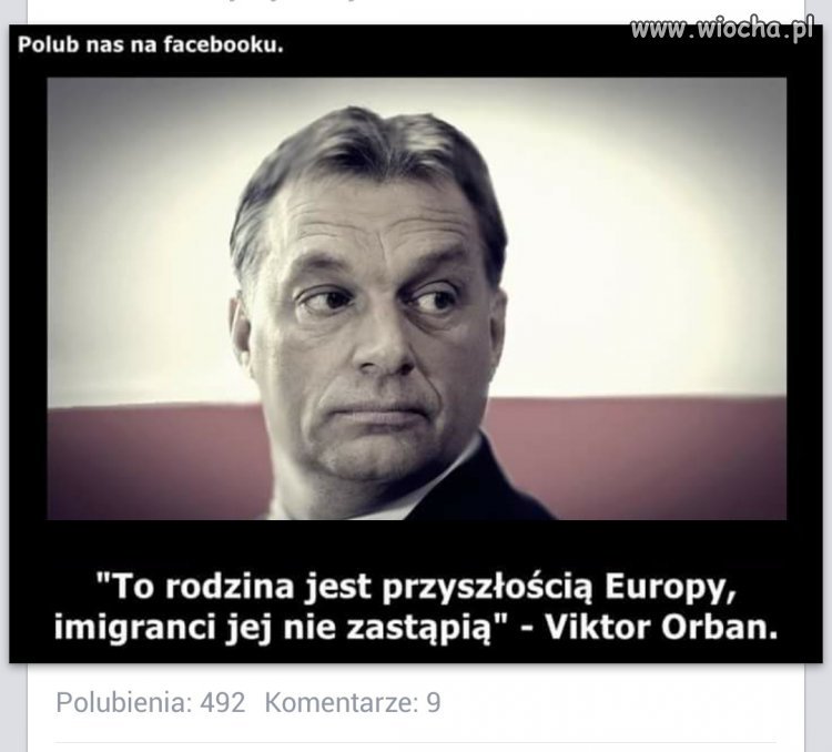 I tu ma chłop 100% racji.