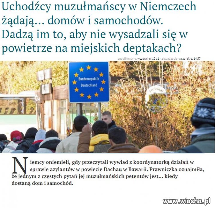 Uchodźcy żądają domów i samochodów.