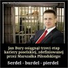 I z powrotem do koryta