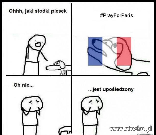 Piesek