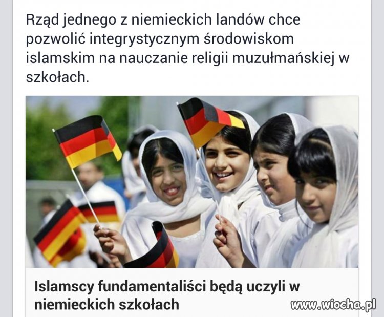 Niemcy sami sobie strzelają w kolano.