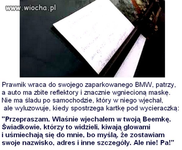 Prawnik
