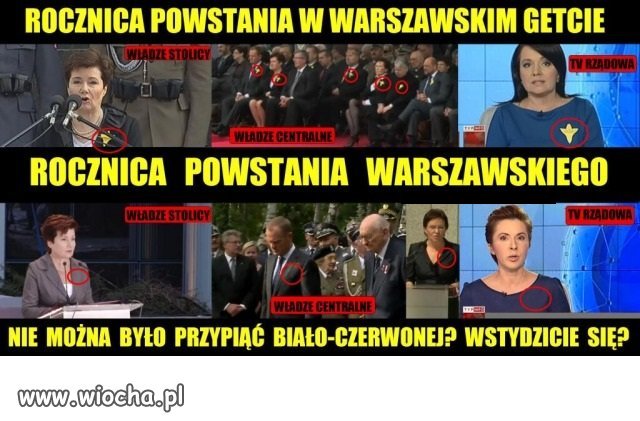 Antypolskość 
