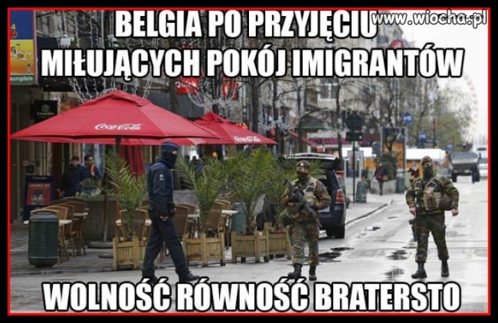 Ubogacenie naszej szarej, pokojowej i nudnej
