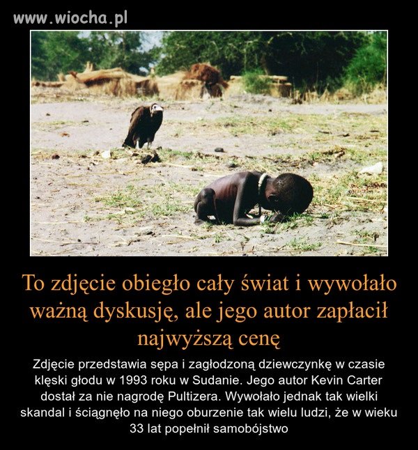 Współczesny świat w pigułce
