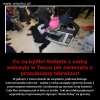 Nie ma słów.
