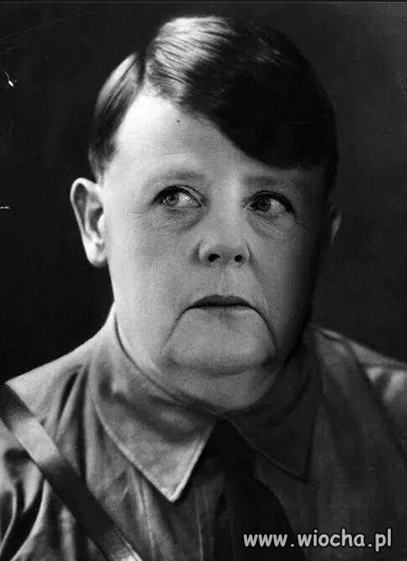 Adolfmerkel