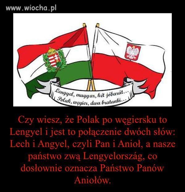 PIĘKNIE NAS POLAKÓW WĘGRZY NAZYWAJĄ !