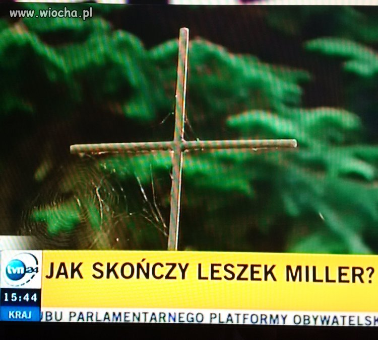 Telewizja TVN24