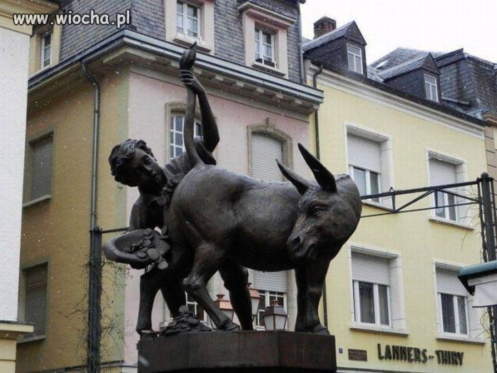 Każdy chciałby takiego osiołka.