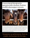 Tymczasem w Szwajcarii