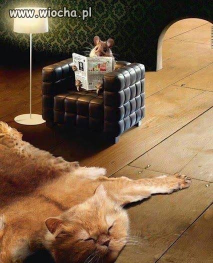 Tom i Jerry
