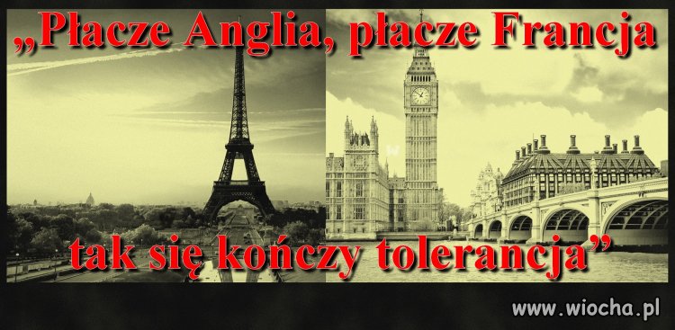 Tak się kończy "TOLERANCJA"
