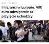 400 euro za brudasa pod dachem