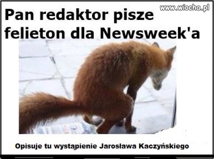 Redaktor Lis w pracy