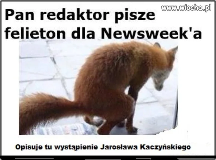 Redaktor Lis w pracy