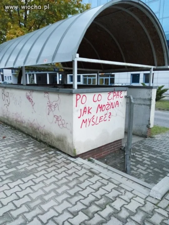 Po co ćpać