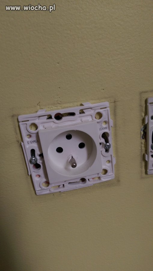  ARABSKIE Janusze ELEKTRYKI