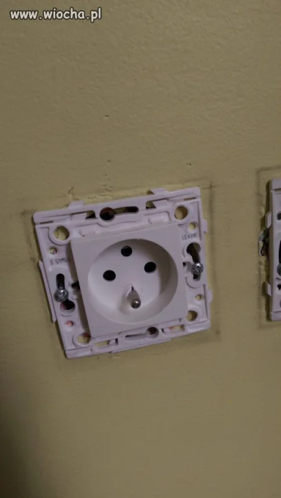  ARABSKIE Janusze ELEKTRYKI