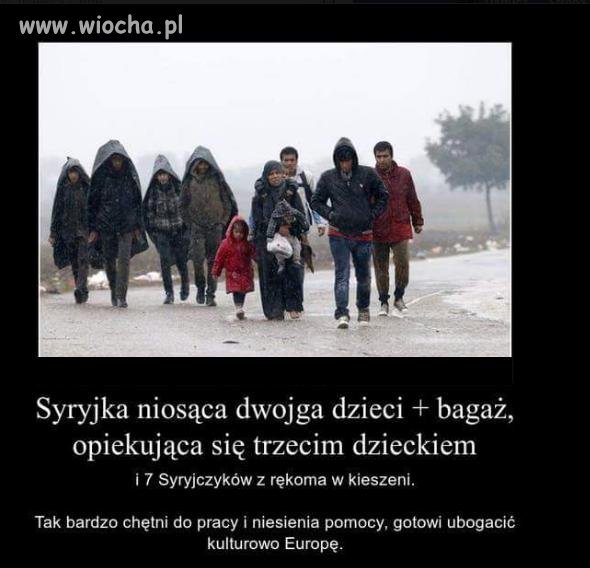 Zamiast woła mają kobietę.