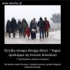 Zamiast woła mają kobietę.