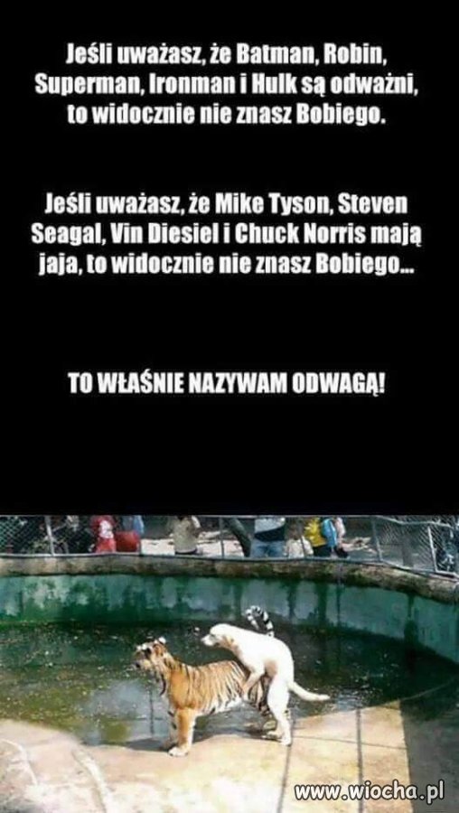 Analogicznie...w Polsce