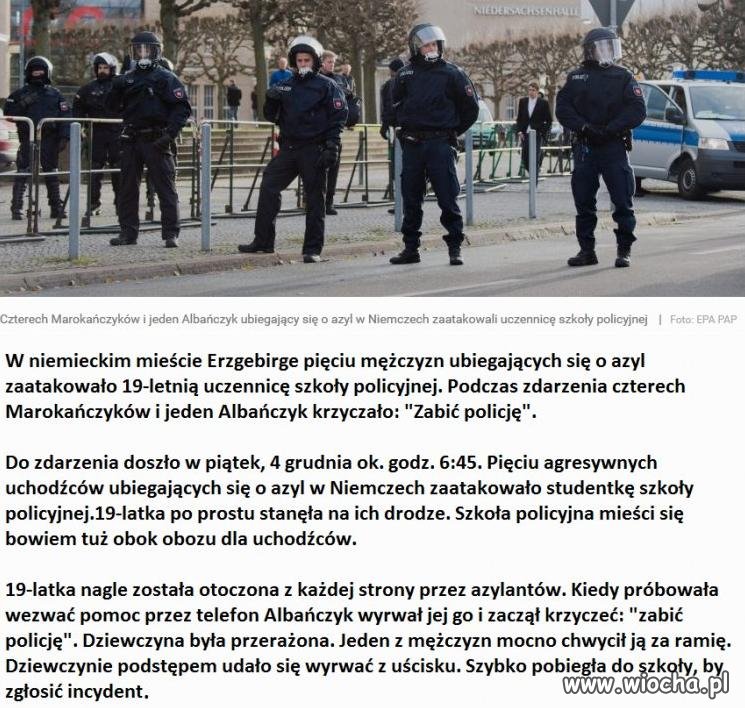 W Niemczech już się panoszą