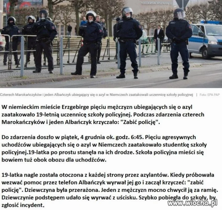 W Niemczech już się panoszą