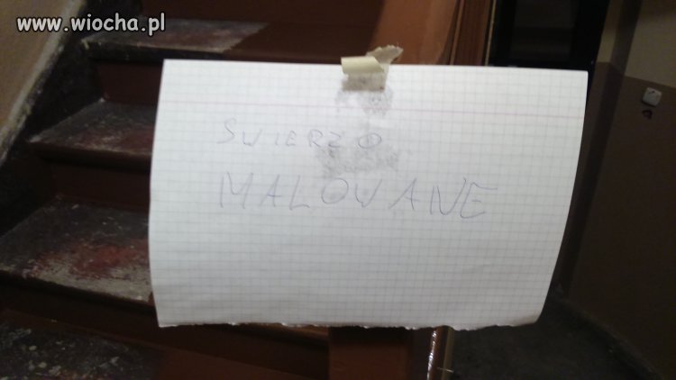 Do malowania nie potrzeba szkoły