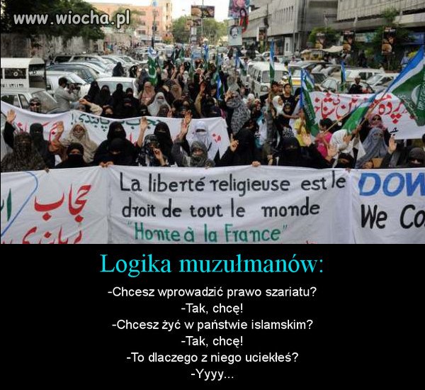 Logika Muzułmanów...