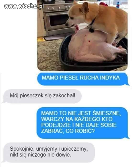 Sezon świąteczny
