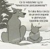 A Ty masz już jakieś