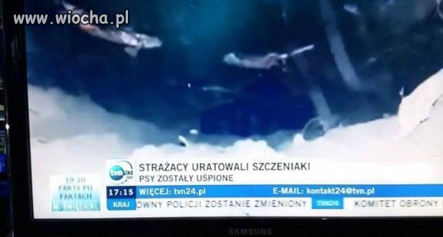 Uratowali?