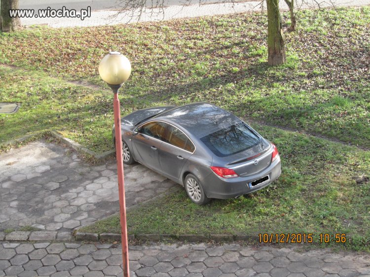 Mistrzyni parkowania na kieleckim osiedlu