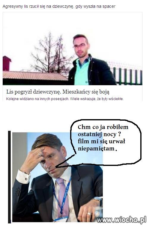 Lis pogryzł dziewczynę.