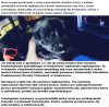 Strażacy uratowali szczeniaki, schronisko je uśpiło