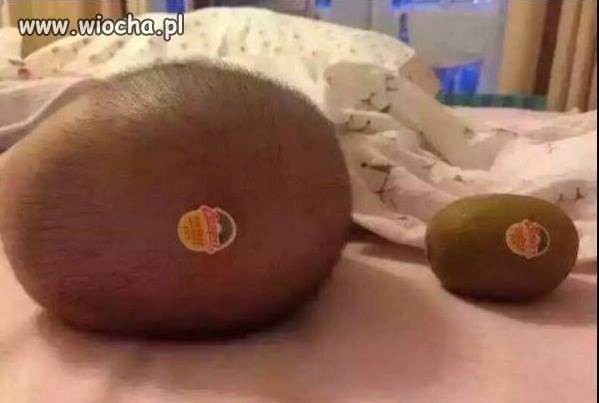 Z cyklu...moi rodzice to debile.