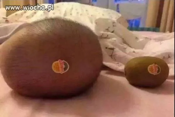 Z cyklu...moi rodzice to debile.