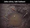 Coś tak czuję... 