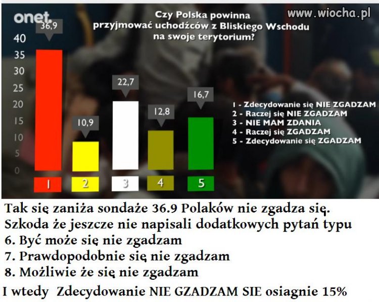 16,7 % baranów w Polsce.
