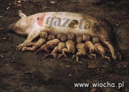 Gazeta Wyborcza z przerażeniem napisała: