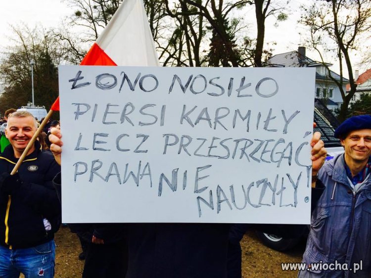 Prawa nauczyły