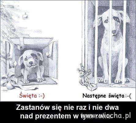 Jeżeli coś jest wiochą , to tylko to ...