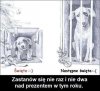 Jeżeli coś jest wiochą , to tylko to ...